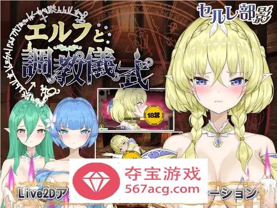 【调教互动SLG全动态】精灵的调教儀式 DL官方正式完整版+存档【新作2.2G】-夺宝游戏