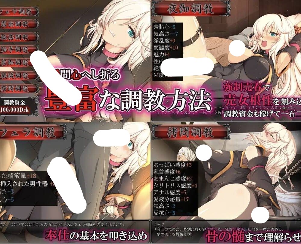 图片[4]-【SLGAI汉化】[PC+安卓joi]奴剑客塞西莉亚雌豚性奴隷剣士セシリア-夺宝游戏